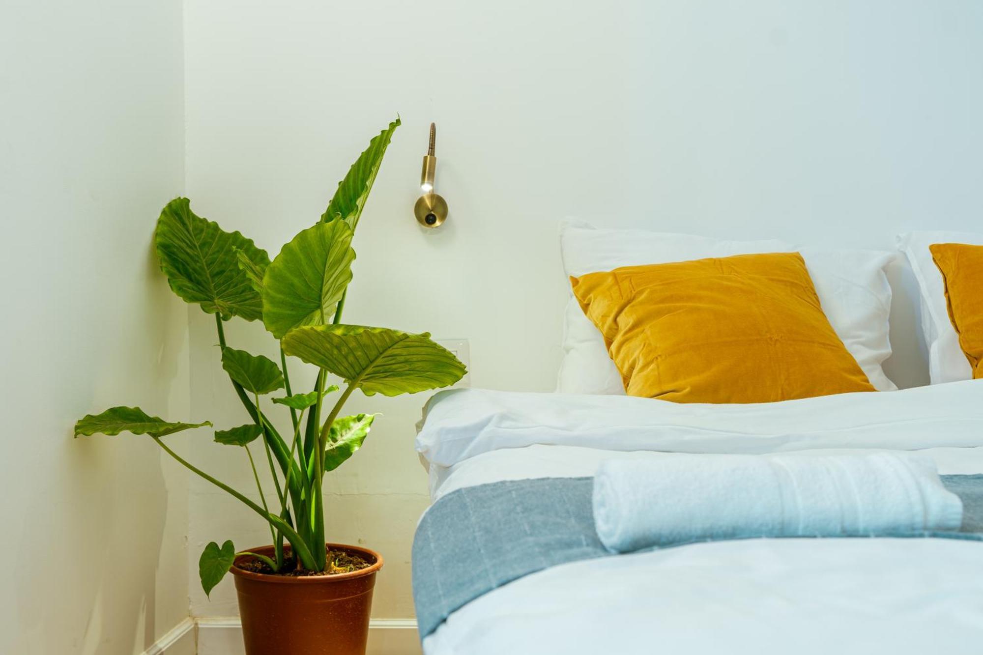 Jabitat- Jaffa Boutique Tlv Otel Tel Aviv Dış mekan fotoğraf